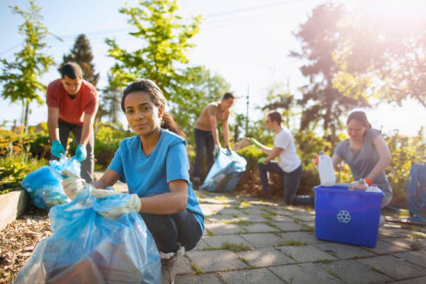 Debris Removal in Hayward, WI